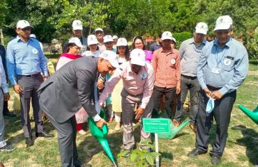 Celebration of World Environment Day