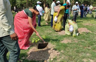 Celebration of World Environment Day