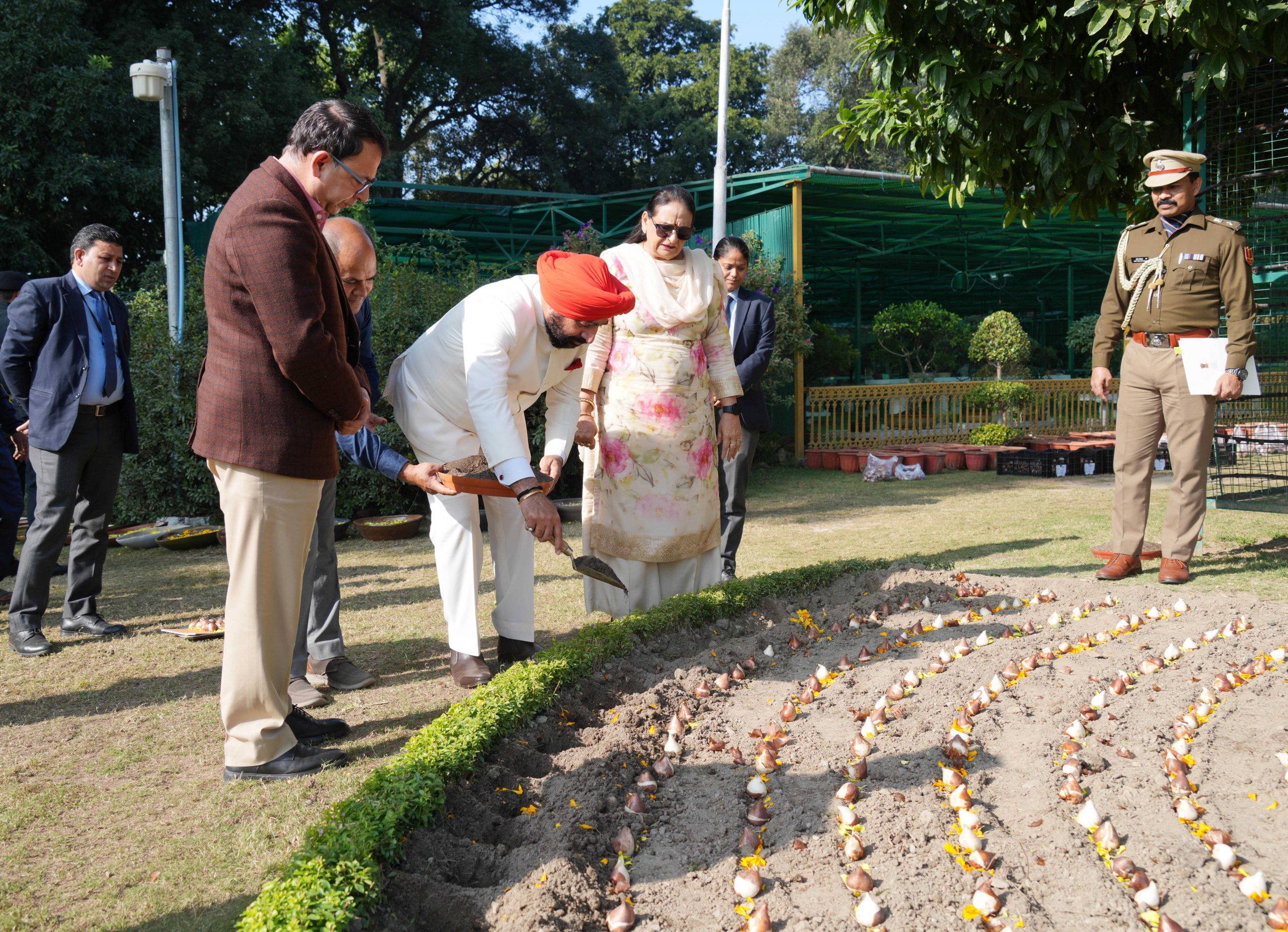 Governor Lt Gen Gurmit Singh (Retd) plants attractive and delicate tulip bulbs at Raj Bhawan.