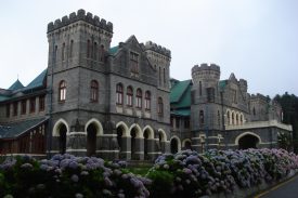 DSC00376