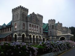 DSC00376