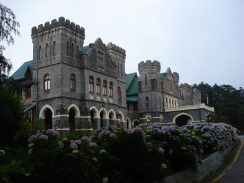 DSC00375