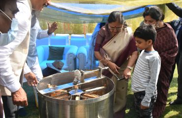 Malephaera species of bees kept in Raj Bhawan