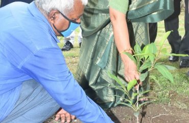 Governor planted the plants of Rudraksh, Neem, Amla, Bael, Ashoka and blackberry on the occasion of Harela festival on Friday.