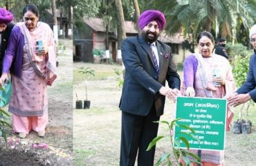 Governor and First Lady Mrs. Gurmeet Kaur planting a sapling of Arunima variety of mango in Raj Bhavan premises on the occasion of New Year.