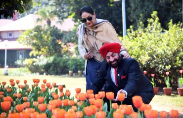 Governor and the first lady of the state Mrs. Gurmeet Kaur looking at the colorful Tulips blooming