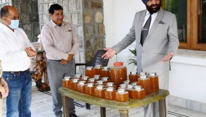 On Wednesday, 30 kg of honey was extracted from the bee boxes installed in the Raj Bhawan.