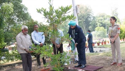 Governor planting a sapling of Rudraksha on the occasion of World Earth Day in Raj Bhawan premises.