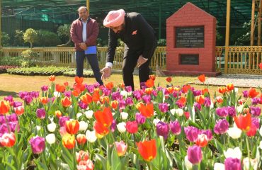 Governor inspects the Tulip Garden located in the Rajbhawan premises.