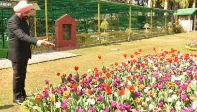 Governor inspects the Tulip Garden located in the Rajbhawan premises.