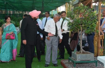 Governor visits Nakshatra Vatika and Bonsai Garden at Raj Bhawan.