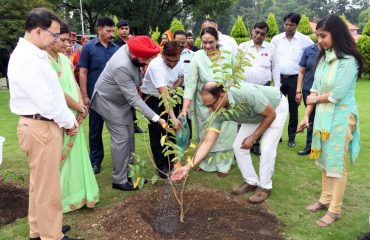 Governor Lt. Gen. Gurmit Singh (Retd) plants a sapling of “Sawni” species in the Raj Bhawan premises.