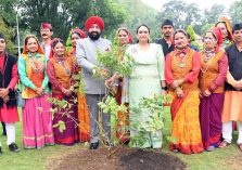 Governor Lt. Gen. Gurmit Singh (Retd) plants a sapling of “Sawni” species in the Raj Bhawan premises.;?>