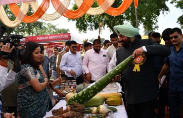 प्रदर्शनियों के स्टॉलों का अवलोकन करते हुए राज्यपाल लेफ्टिनेंट जनरल गुरमीत सिंह (से नि)।