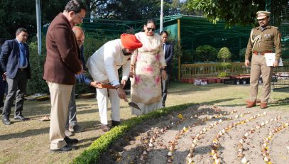 Governor Lt Gen Gurmit Singh (Retd) plants attractive and delicate tulip bulbs at Raj Bhawan.