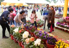 People taking photos after observing the flower exhibition.;?>