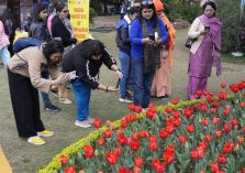 People taking photos after observing the flower exhibition.;?>