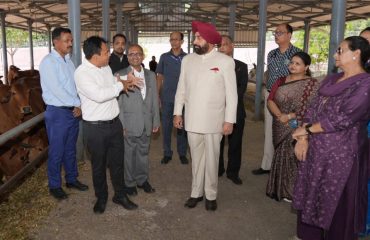 Hon'ble Governor visiting the Animal Breeding Farm, Kalsi.