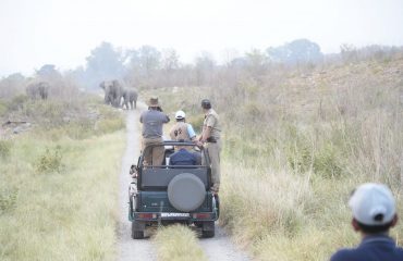 Hon'ble Governor witnessing wildlife at Jim Corbett National Park.
