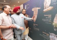 Governor observing the exhibition 