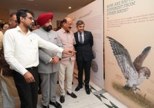 Governor observing the exhibition 