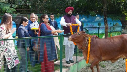 The Governor feeding the cow at the Raj Bhawan's 'Rajalakshmi Gaushala' on the occasion of Govardhan Puja.