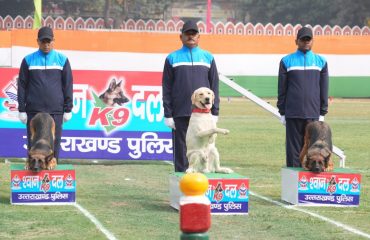 Police personnel showing excellent performance of dog squad in the program organized at Police Line, Dehradun on the occasion of State Foundation Day.