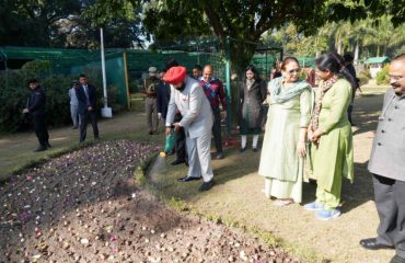 राजभवन परिसर में ट्यूलिप बल्ब का रोपण करते हुए राज्यपाल एवं प्रथम महिला श्रीमती गुरमीत कौर।