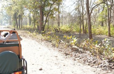 Governor viewing wildlife during his visit to Rajaji Tiger Reserve.