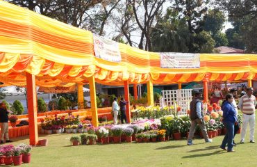 Raj Bhawan ready for Vasantotsav-2025 (Flower Exhibition).