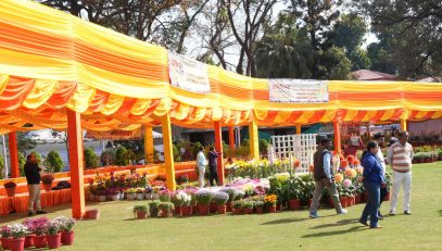 Raj Bhawan ready for Vasantotsav-2025 (Flower Exhibition).