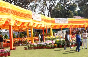 वसंतोत्सव-2025 (पुष्प प्रदर्शनी) के लिए तैयार राजभवन।