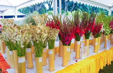 Flower exhibition organised on the occasion of ‘Vasantotsav-2025’ at Raj Bhawan.