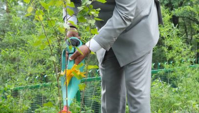 Governor planting a sapling at the Raj Bhavan Nainital campus on the occasion of World Environment Day 2025.