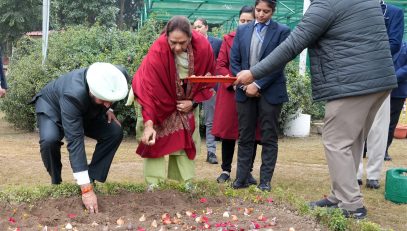 planting tulip bulbs