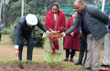 ट्यूलिप बल्ब का रोपण