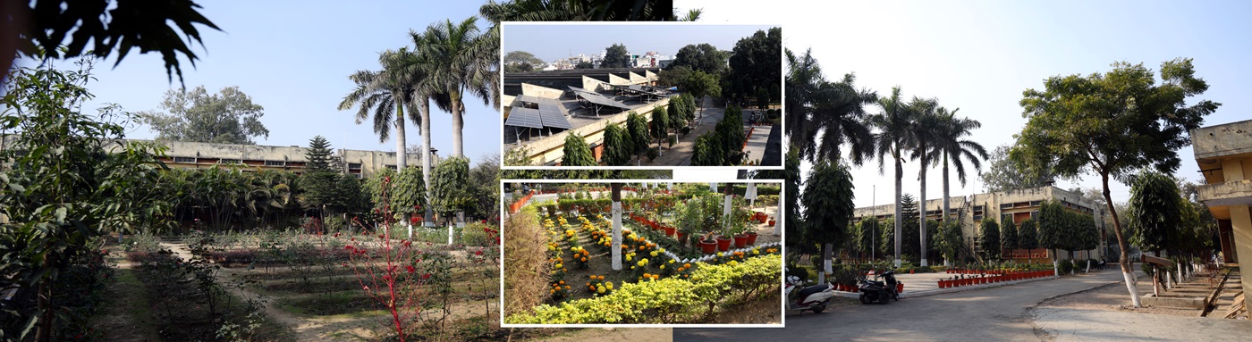 Collage of Beauty of Government Press Roorkee