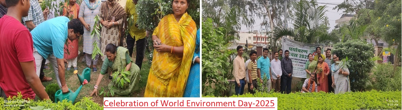 enviroment day (2)