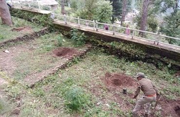 माननीय कार्यकारी अध्यक्ष द्वारा वृक्षारोपण