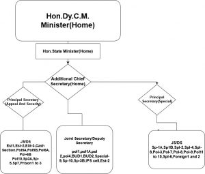 Organization Chart