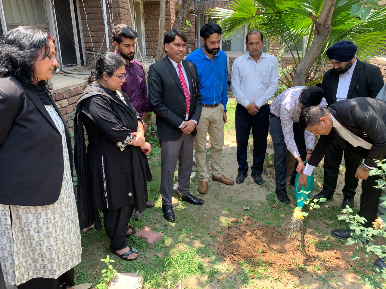 Tree Plantation Drive