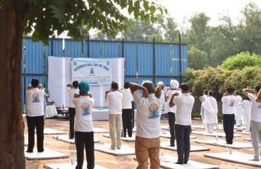 International Yoga Day