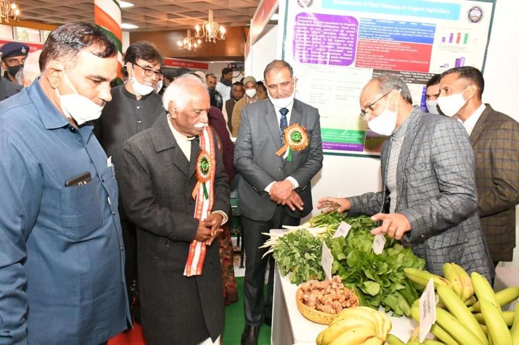 Haryana Governor-Chancellor Shri Bandaru Dattatraya inquiring about different crops exhibited during the program organized on the occasion of Kisan Diwas at Haryana Agricultural University