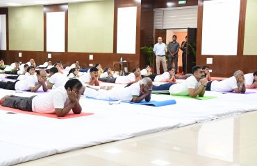ANI_1577