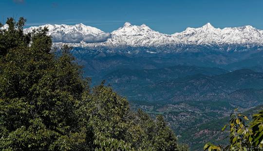 Binsar Forest Reserve at district Almora