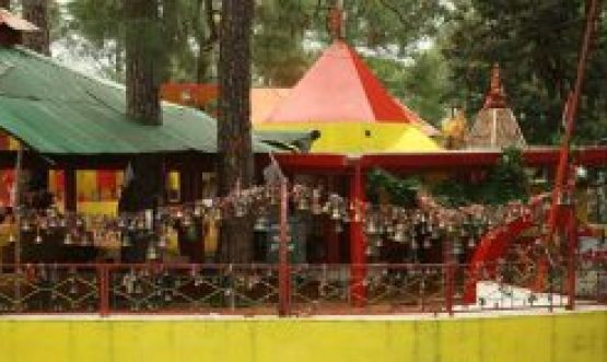 Chitai Golu Temple Almora