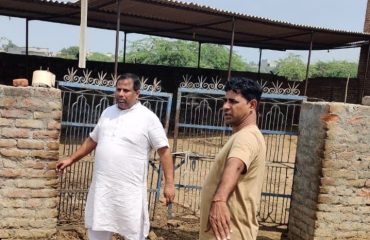 डॉ राज सैनी बेसहारा गौवंश को गौशाला में भेजने के लिए गौशाला का दौरा करते हुए