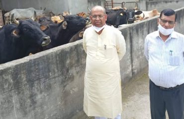 During the inspection of Shri Gopal Gaushala, Ramnagar Kholi, Pinjore, Chairman of Haryana Gau Seva Aayog Shri Sarawan Kumar Garg and Secretary Dr. Kalyan Singh visiting the Gaushalas