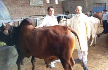 Chairman of Haryana Gau Seva Aayog Shri Sarawan Kumar Garg and Secretary of the Aayog Dr. Kalyan Singh while visiting Shri Shyam Gaushala Seva Samiti Mandal Madhawala