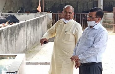 During the inspection of Shri Gopal Gaushala, Ramnagar Kholi, Pinjore, Chairman of Haryana Gau Seva Aayog Shri Sarawan Kumar Garg and Secretary Dr. Kalyan Singh visiting the Gaushalas.